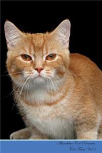 Munchkin Cat Presents