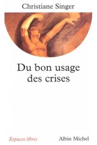 Du Bon Usage Des Crises