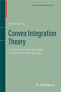Convex Integration Theory