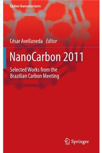 Nanocarbon 2011