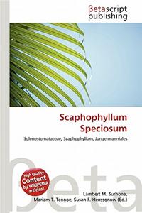 Scaphophyllum Speciosum