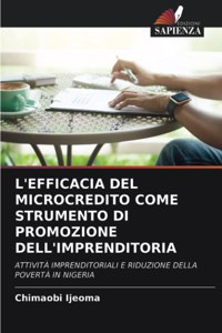 L'Efficacia del Microcredito Come Strumento Di Promozione Dell'imprenditoria