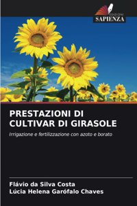 Prestazioni Di Cultivar Di Girasole