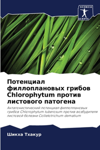 Потенциал филлоплановых грибов Chlorophytum проти&