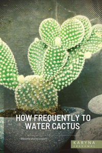 How frequently to Water Cactus
