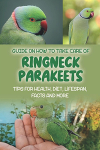 Guide On How To Take Care Of Ringneck Parakeets