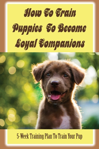 How To Train Puppies To Become Loyal Companions