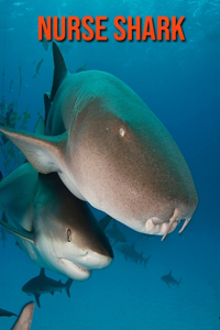 Nurse Shark: Amazing Facts about Nurse Shark