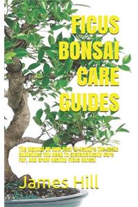 Ficus Bonsai Care Guides