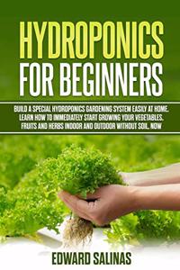 Hydroponics for beginners