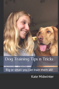 Dog Training Tips n Tricks
