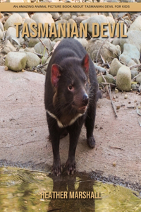 Tasmanian Devil