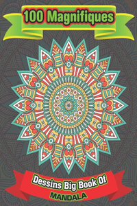 100 Magnifiques Dessins Big Book Of mandala