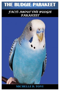 Budgie Parakeet