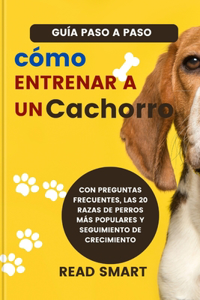 Cómo Entrenar a Un Cachorro (Spanish)