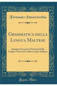 Grammatica Della Lingua Maltese: Spiegata Secondo I Principj Delle Lingue Orientali E Della Lingua Italiana (Classic Reprint)
