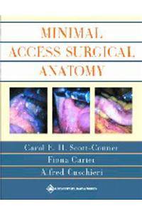 Minimal Access Surgical Anatomy