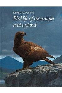 Bird Life of Mountain and Upland