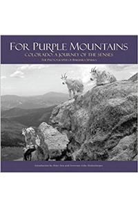 For Purple Mountains