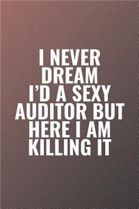 I Never Dream I'd A Sexy Auditor But Here I Am Killing It