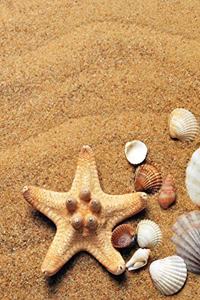 Starfish Notebook