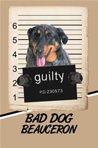 Bad Dog Beauceron