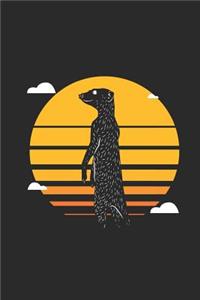 Meerkat Sunset