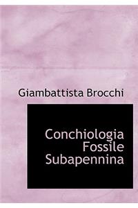 Conchiologia Fossile Subapennina