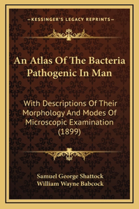 An Atlas Of The Bacteria Pathogenic In Man: With Descriptions Of Their Morphology And Modes Of Microscopic Examination (1899)