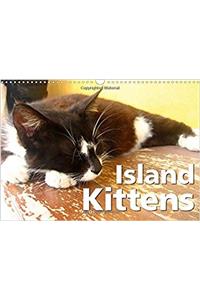 Island Kittens / UK-Version 2017