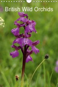 British Wild Orchids 2018