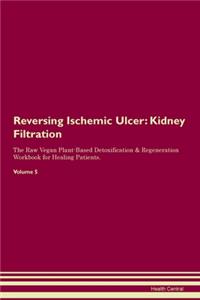 Reversing Ischemic Ulcer: Kidney Filtration The Raw Vegan Plant-Based Detoxification & Regeneration Workbook for Healing Patients. Volume 5