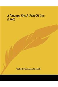A Voyage On A Pan Of Ice (1908)