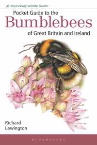 Pocket Guide to the Bumblebees of Great Britain and Ireland (Bloomsbury Wildlife Guides)