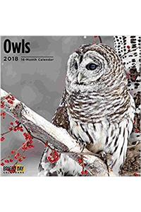 Owls 2018