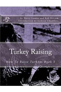 Turkey Raising