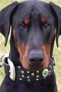 Doberman Ready for Business Journal