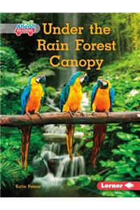 Under the Rain Forest Canopy