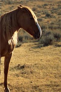 Journal Large Chestnut Equine Horse