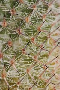 Cactus Notebook