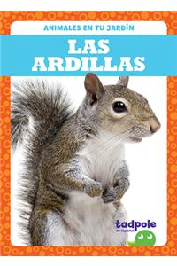 Las Ardillas (Squirrels)