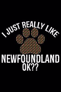 I Just Really Like Newfoundland