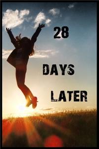 28 Days Later / 28 Weeks Later journal