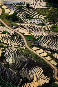 Green Terraces in Vietnam Journal