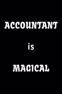 Accountant