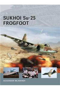 Sukhoi Su-25 Frogfoot