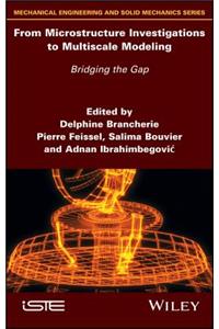 From Microstructure Investigations to Multiscale Modeling