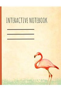 Interactive Notebook