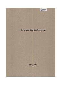 Enhanced Gob Gas Recovery