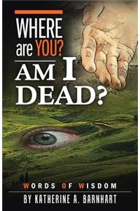 Where Are You? Am I Dead?